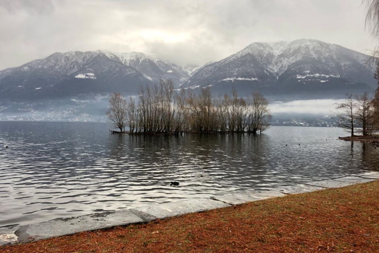 Un lago con una pequeña isla de árboles, rodeado de montañas.