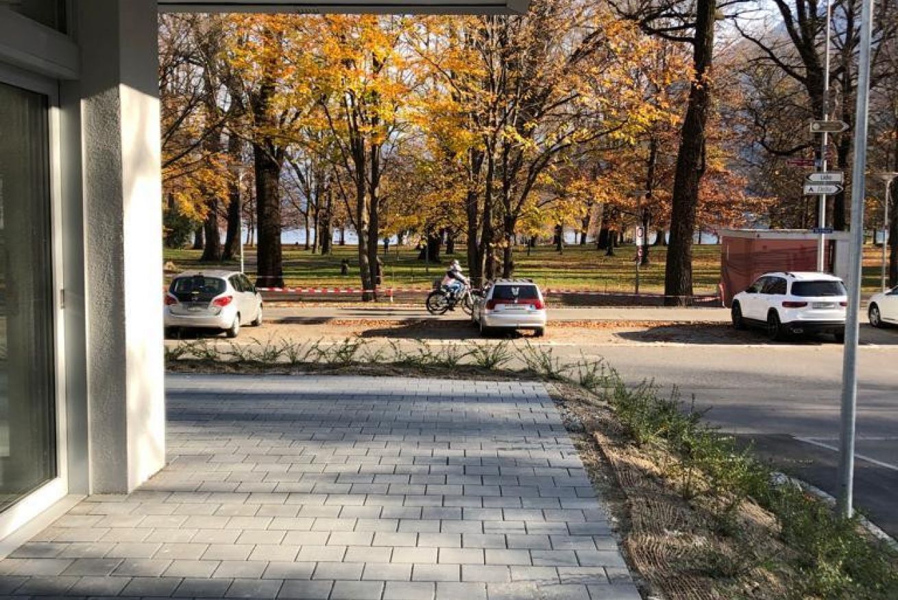 A paved walkway leading to a building with a view of autumn trees and parked cars.