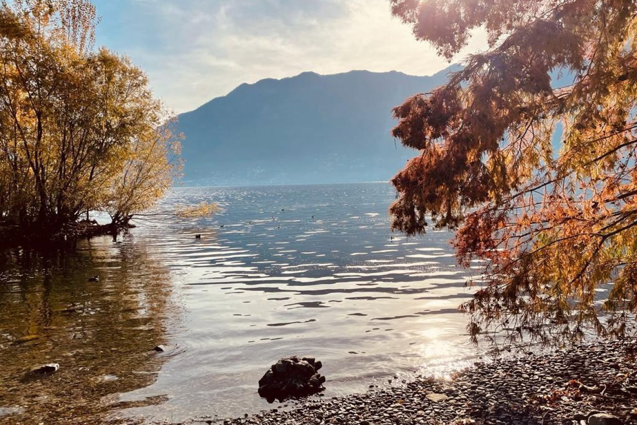 Um lago calmo com águas cristalinas, rodeado por árvores e montanhas ao fundo.