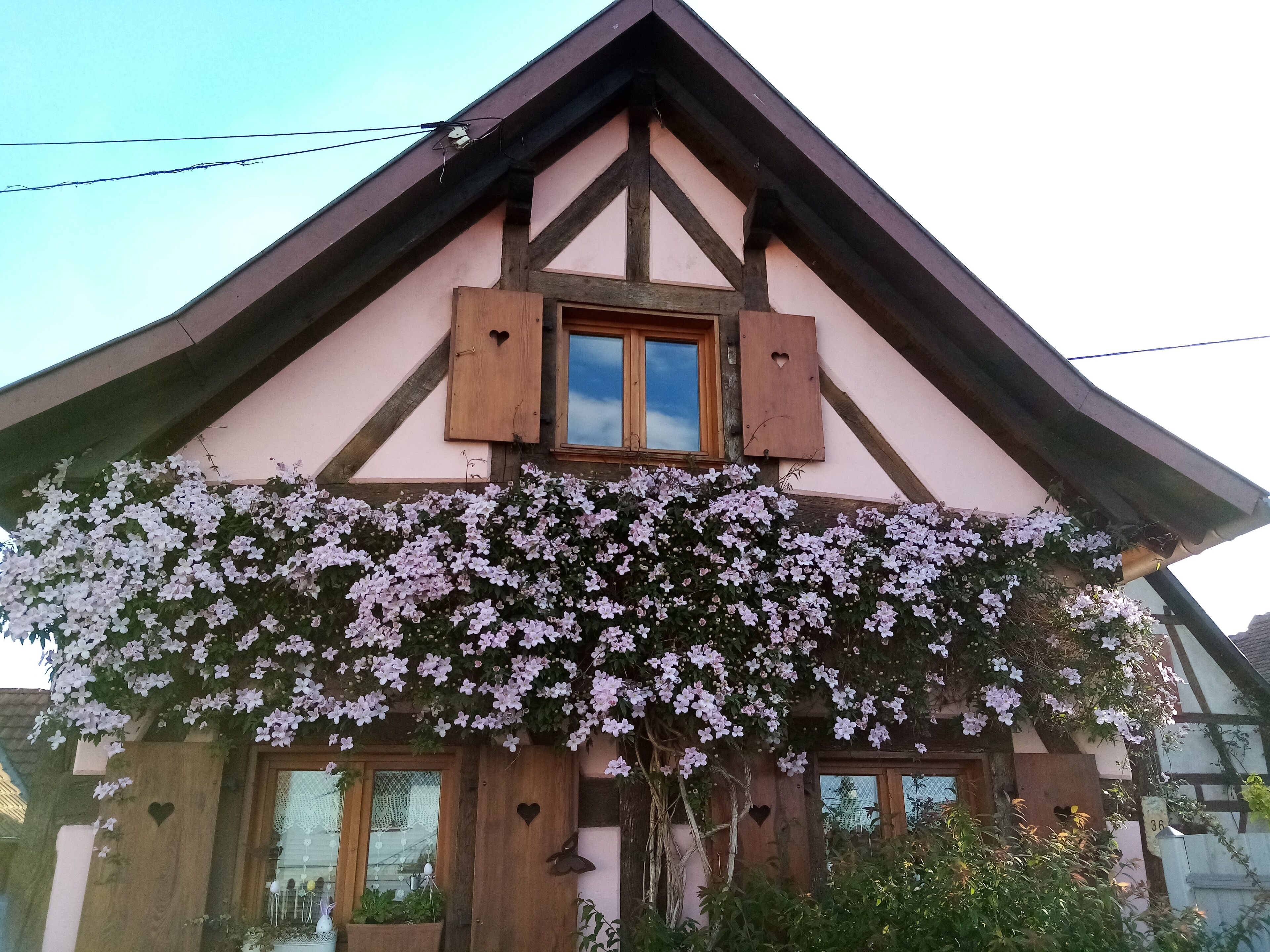 Uma casa tradicional em estilo de enxaimel, com fachada de madeira, janela com persianas e entrada coberta de hera.