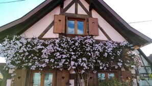 Ein traditionelles Fachwerkhäuschen mit Holzfassade, einem Fenster mit Fensterläden und einem mit Efeu bewachsenen Eingang.