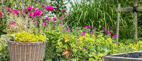 Jardin