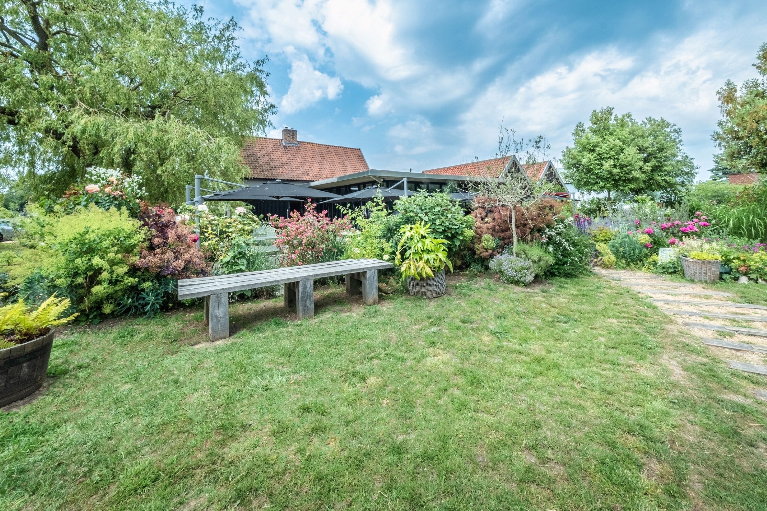 Un jardin bien entretenu, avec une variété de plantes et un banc en bois.