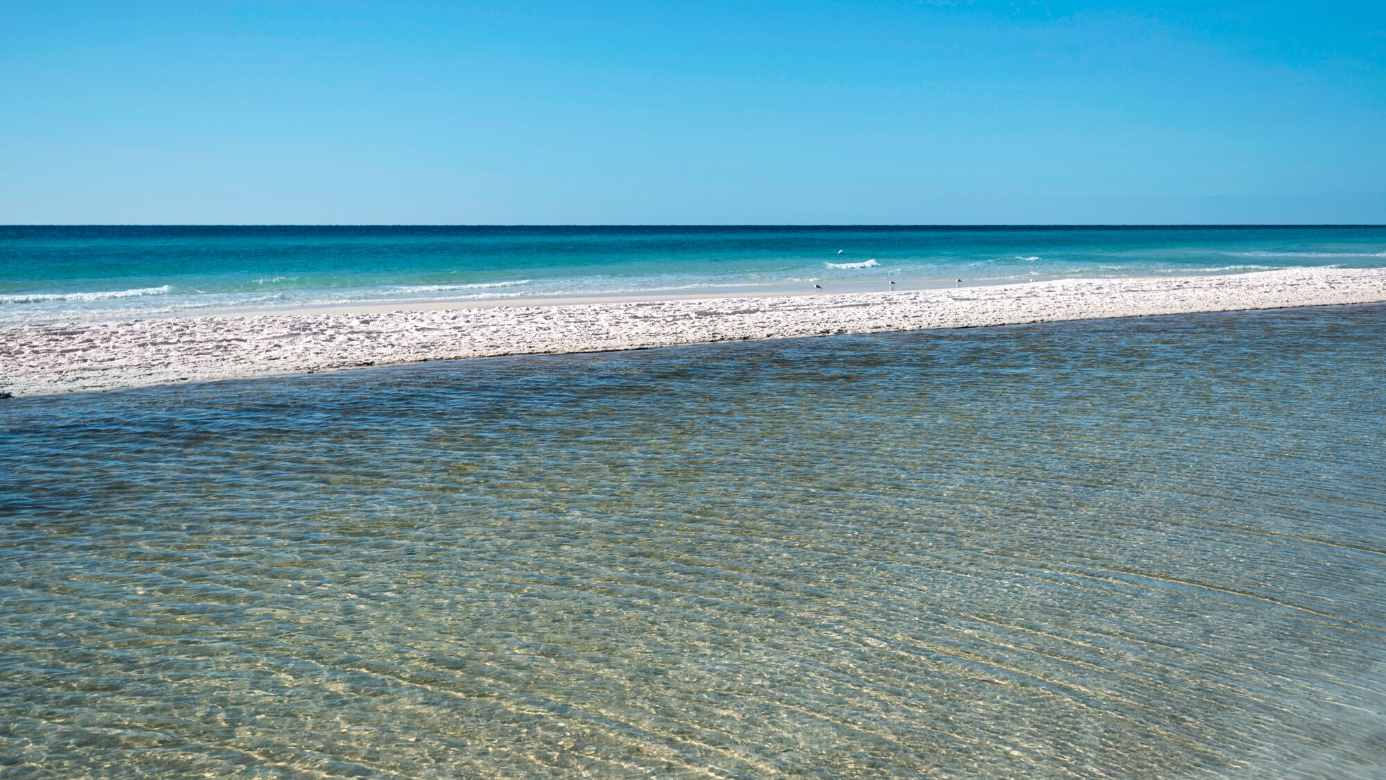 بالقرب من الشاطئ