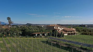 Bodega de vino