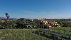 Bodega de vino