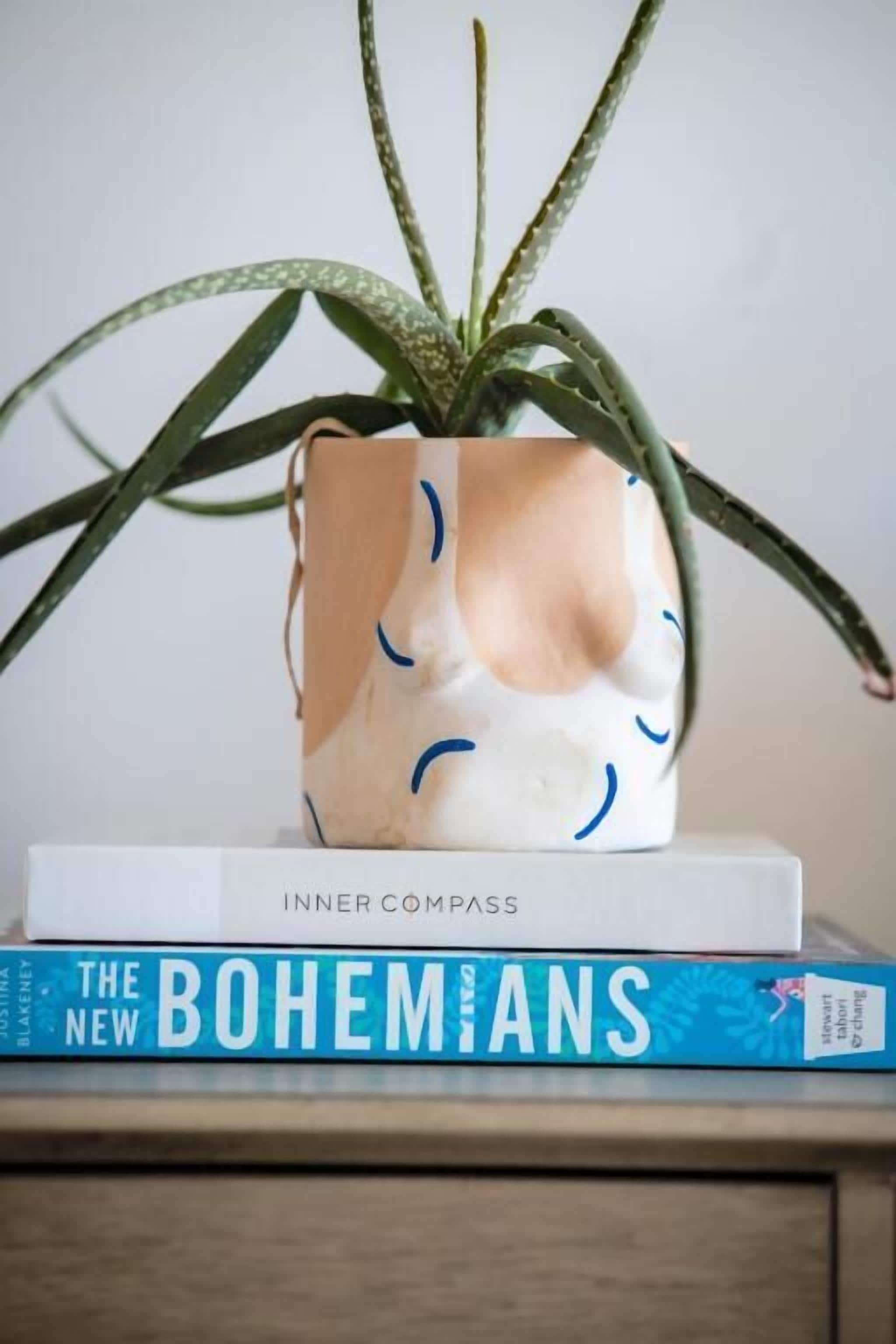 Une plante en pot, dont le pot est blanc et beige, posée sur une pile de livres.