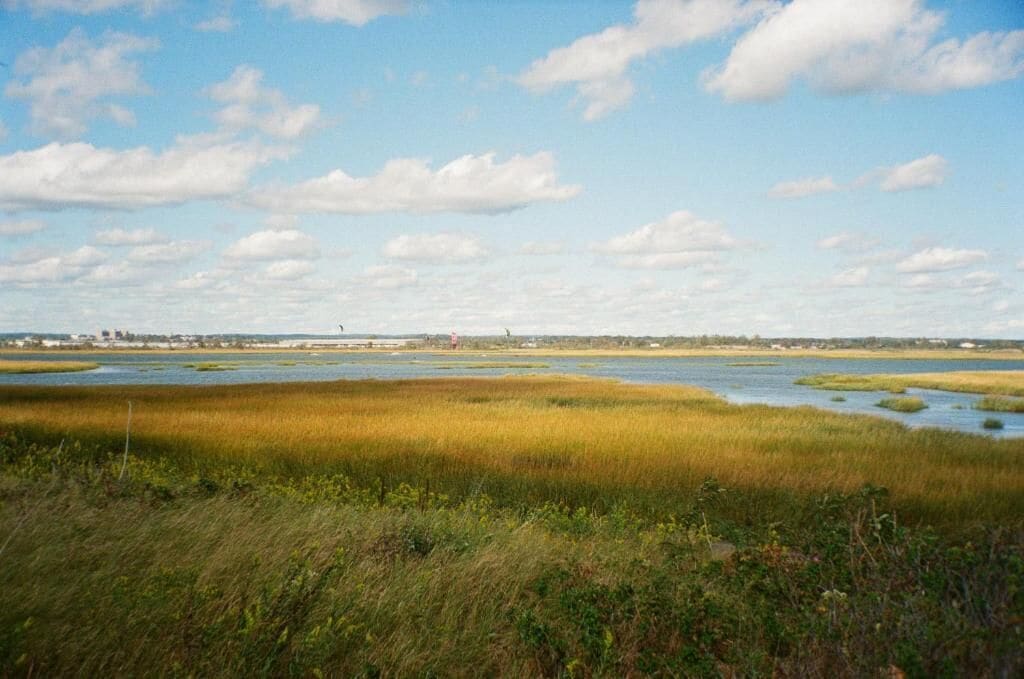 A coastal landscape with marshy areas and a distant city skyline.