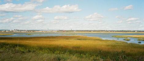 A coastal landscape with marshy areas and a distant city skyline.