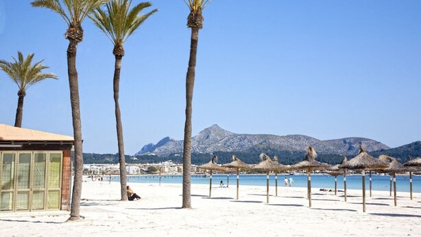 A beach with palm trees, a building with large windows, and mountains in the background. - 2: GROUND FLOOR- APARTMENT ON THE SEA (Alcúdia)