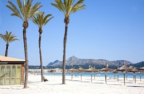 A beach with palm trees, a building with large windows, and mountains in the background.