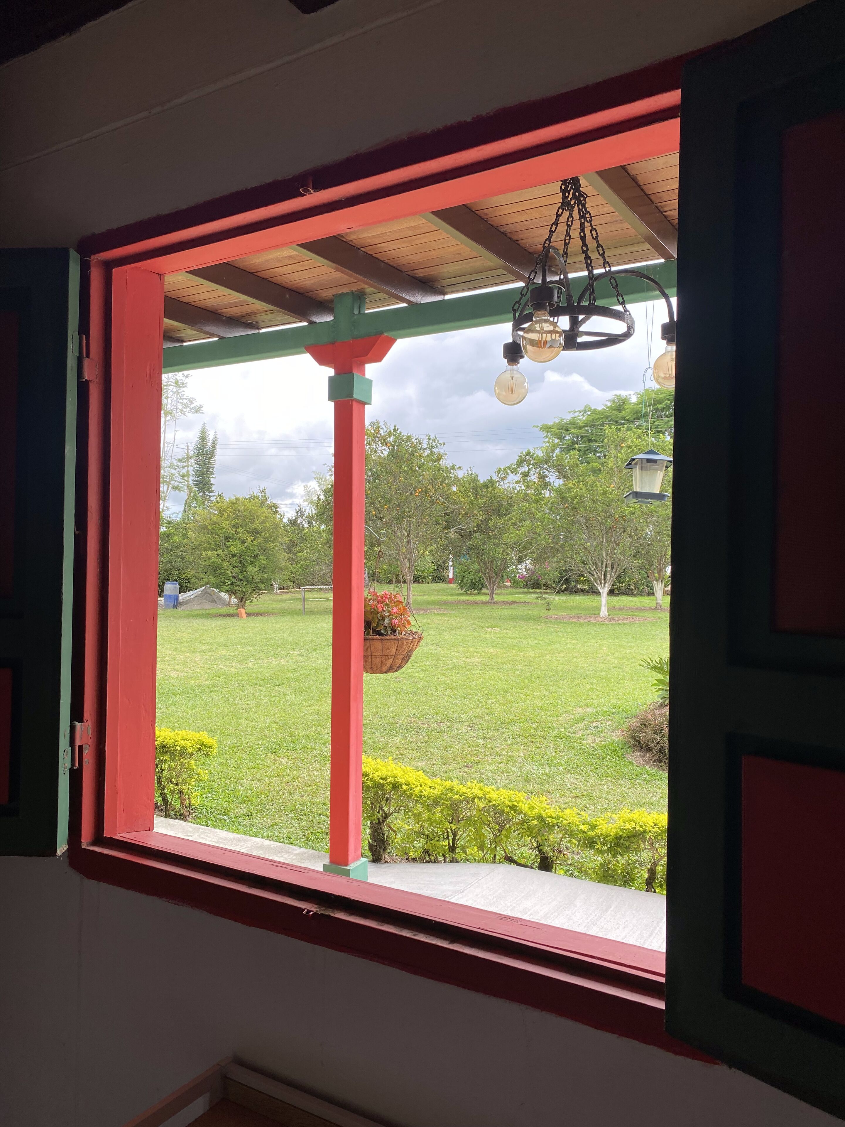 Basic Room | View from room