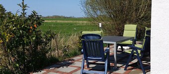 Friedrichstadt: Thatched-roof cottage on the Eider dike with sun terrace near the North Sea
