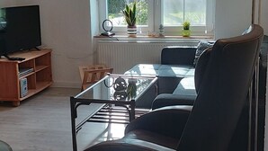 Una sala de estar con un sofá, una mesa de centro de vidrio, un televisor sobre un soporte de madera, un radiador y una ventana con plantas.