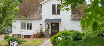 Friedrichstadt: Thatched-roof cottage on the Eider dike with sun terrace near the North Sea