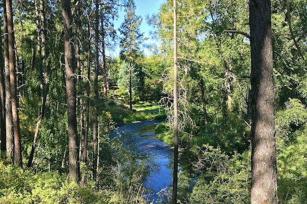 HAYNES in summer:  Walk on forested hiking trails next to this priestine River.