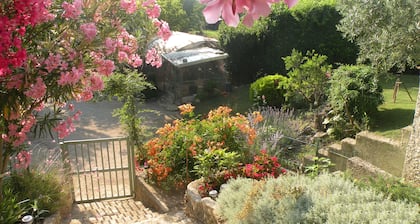 Mas provençal in wine-growing estate with swimming pool (11mx5m)