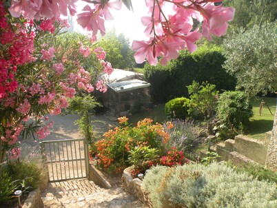Mas provençal in wine-growing estate with swimming pool (11mx5m)