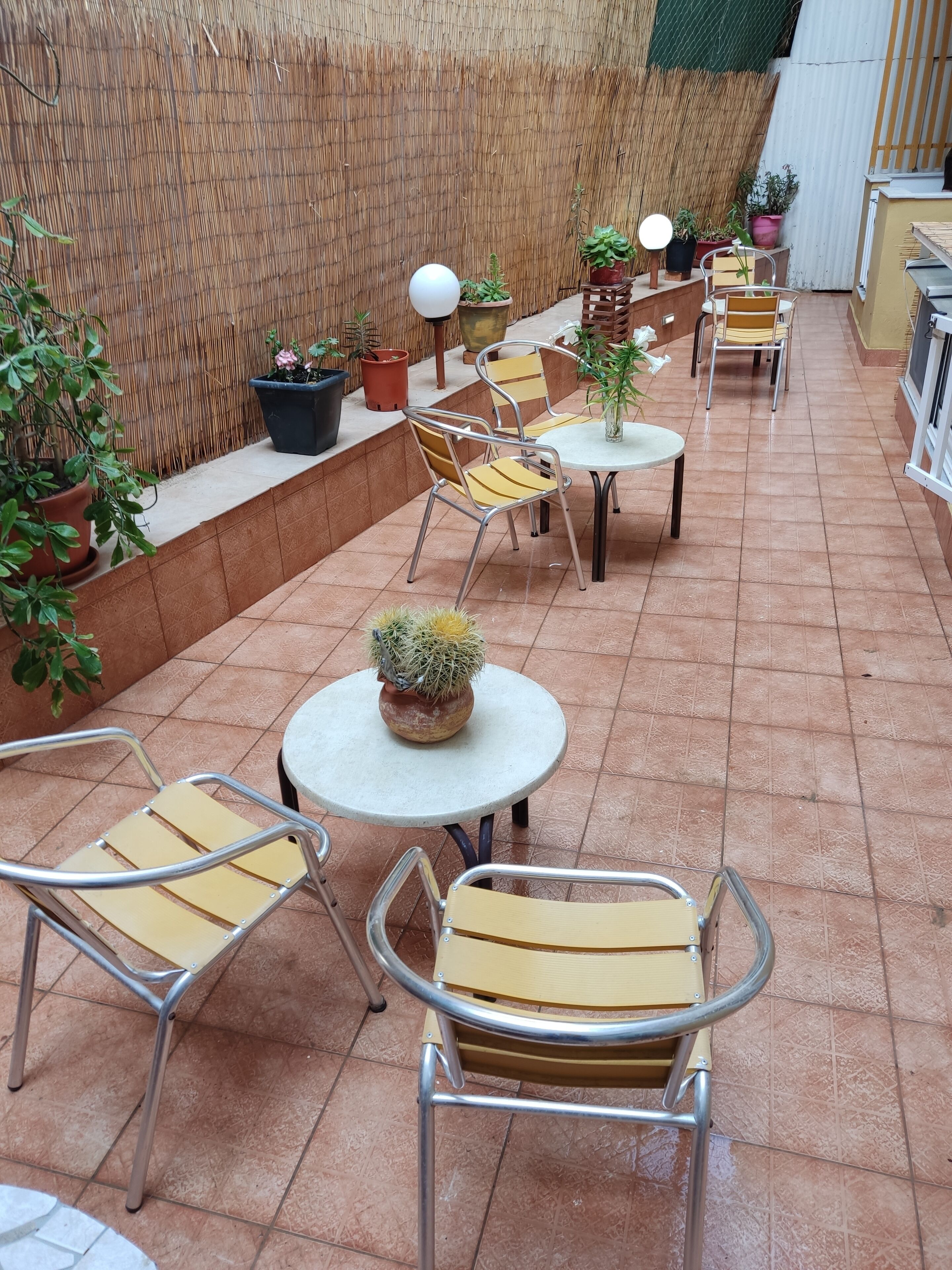 A patio area with metal chairs and tables, surrounded by potted plants and a bamboo wall.