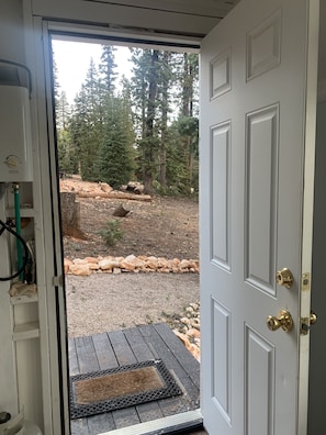 Step outside to a serene wooded area with a gravel path and a low stone wall.