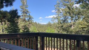 A wooden deck with a railing overlooking a forested area. - Unique Property in the Southern Utah Mountains near Duck Creek Village  (Duck Creek Village)