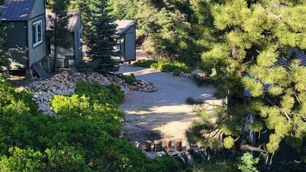 A cabin with a gravel driveway and a small shed, surrounded by dense coniferous trees. - Unique Property in the Southern Utah Mountains near Duck Creek Village  (Duck Creek Village)