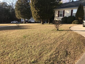 Parco della struttura