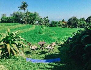 Pemandangan dari hartanah