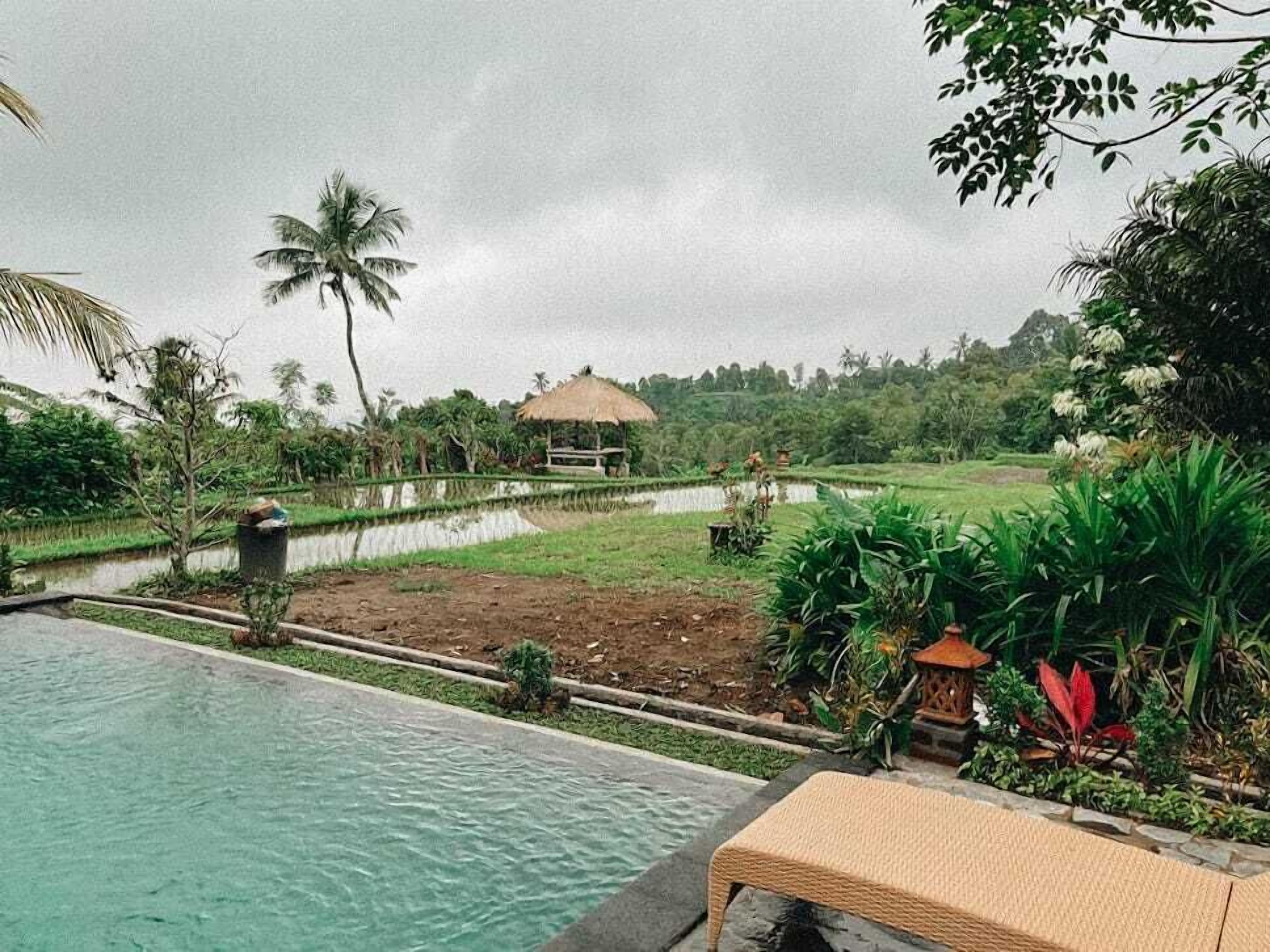 A poolside area with a lounge chair, a small garden, and a thatched-roof structure in the background.