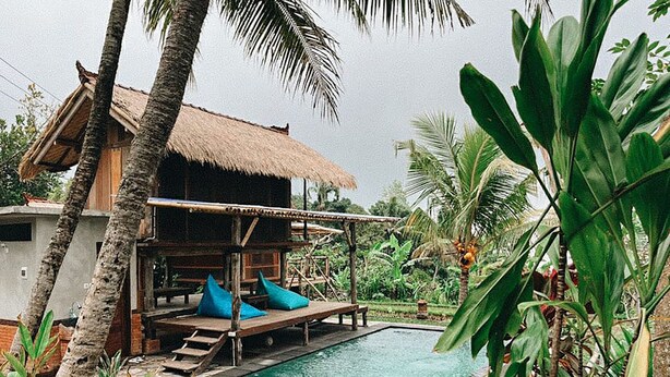 A pool area with a thatched-roof structure, lounge chairs, and tropical vegetation. - Pondok Apsari 2 (Sukasada)