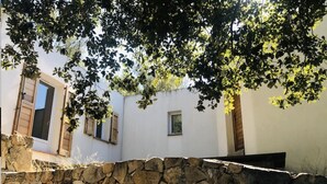A stone wall, a white building with windows, and a tree with green leaves. - A little gem in lush greenery - sea view (lumio)