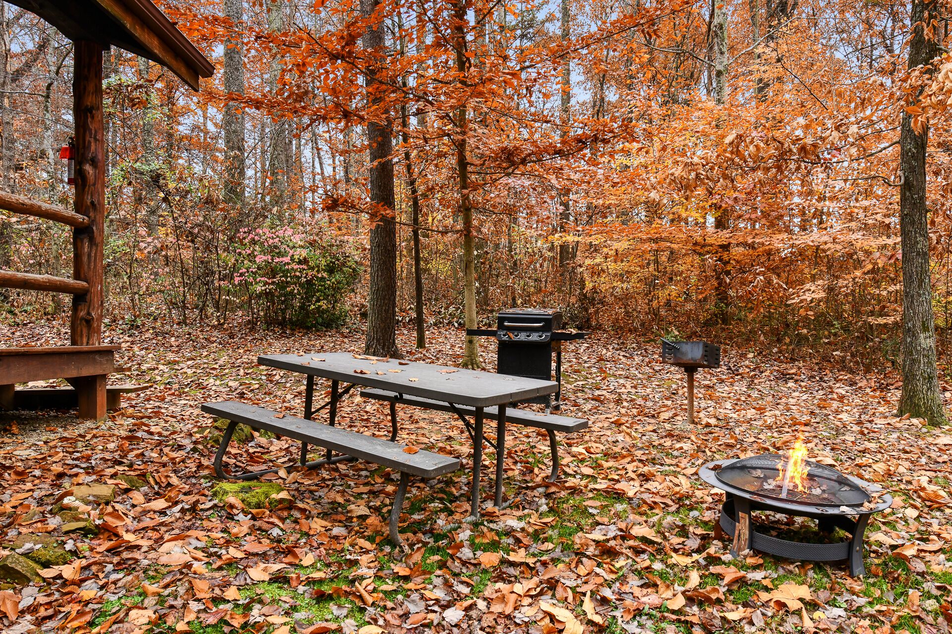 Un espace pique-nique aménagé avec une table, des bancs, un barbecue et un foyer, le tout situé dans une zone boisée.