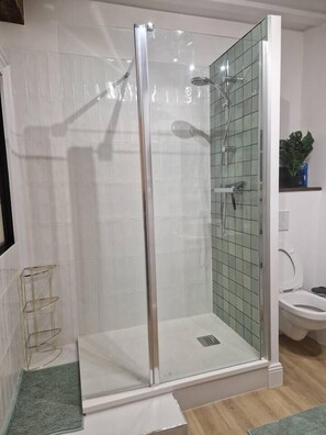 Regadera, secadora de cabello, toallas