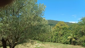 A tree-lined path with a grassy area and a hill in the background. - 🌿 Gîte "Le Noyer" - Le Mas des Charrettes (Provence-Alpes)