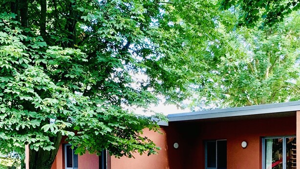 A modern building with a red exterior, a covered outdoor seating area, and a large tree in the foreground.