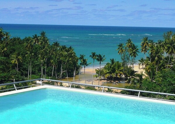 A pool with a view of a beach and palm trees.
