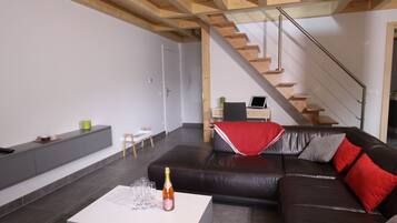 Télévision, lecteur de DVD, livres, vidéothÚque