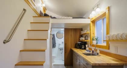 #StayInMyDistrict Overlook Backyard Tiny Suite