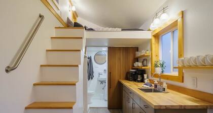 #StayInMyDistrict Overlook Backyard Tiny Suite