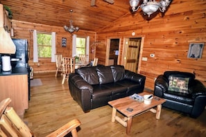 Smart TV, fireplace, DVD player, books