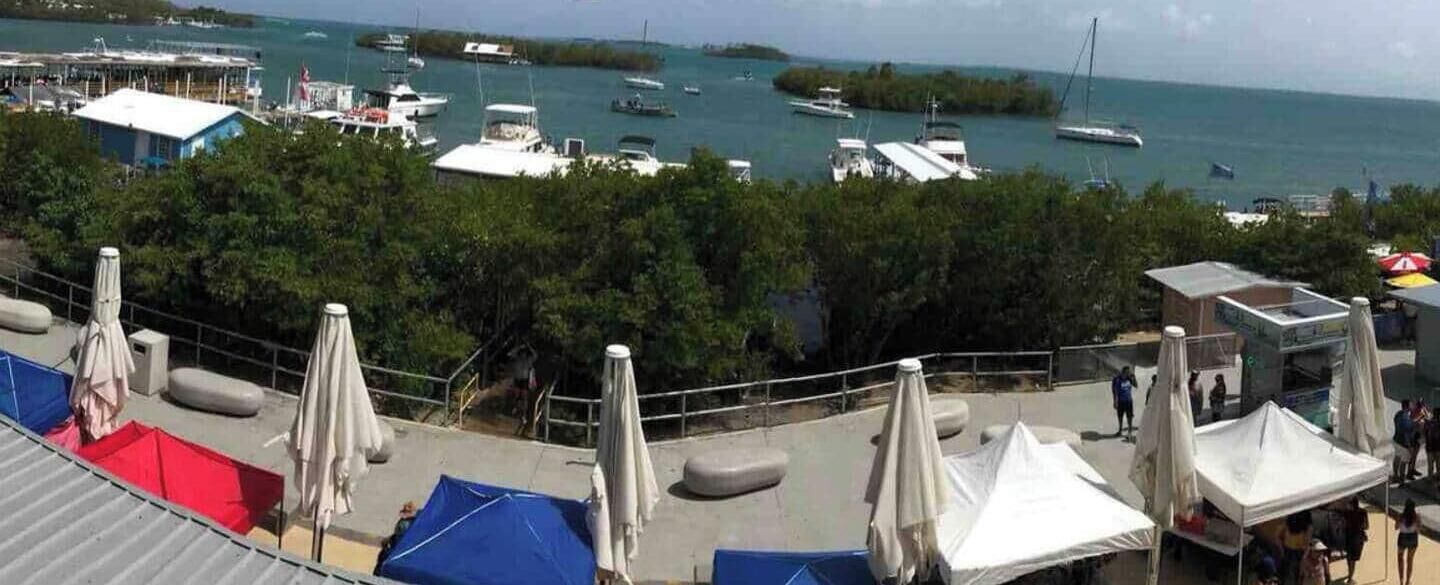 A view of a marina with boats docked, a covered seating area with umbrellas, and a forested area in the background.