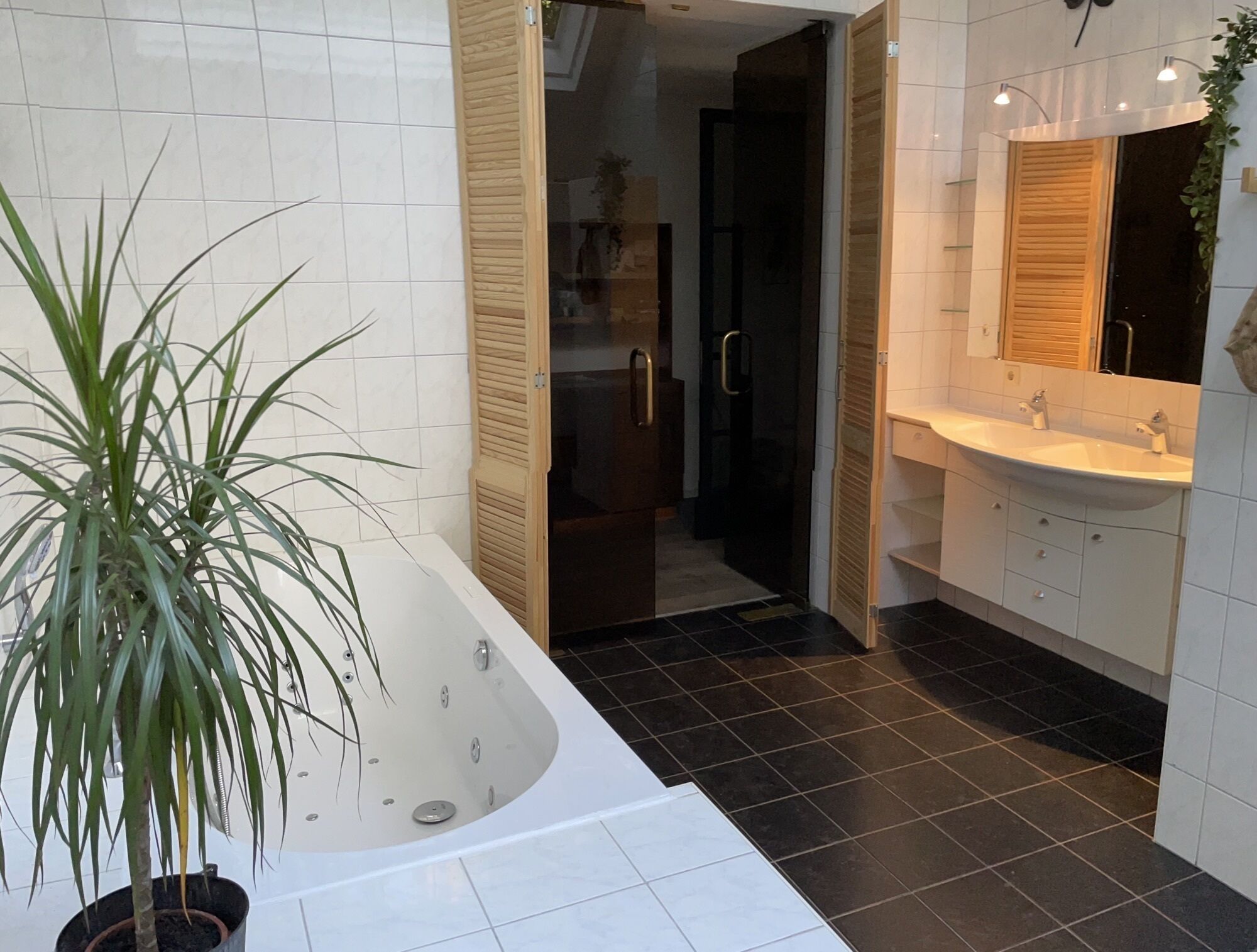 Shower, jetted tub, toilet paper