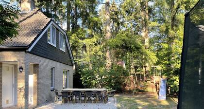 Luxury vacation home with bar billiards and sauna in wooded area