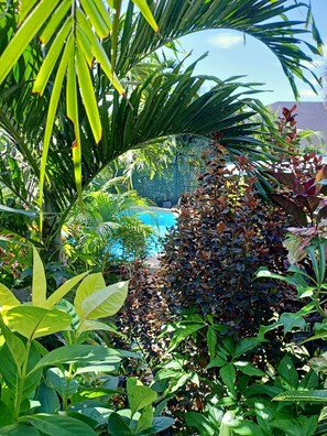 Property grounds - Spacious Tropical Oasis | Moko (Muri)