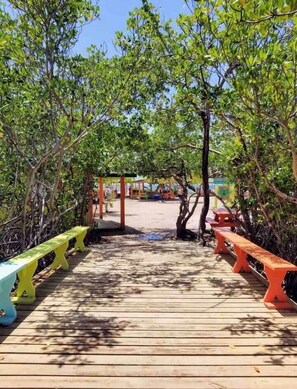 Une promenade en bois bordée de bancs des deux côtés, entourée d’une végétation luxuriante.