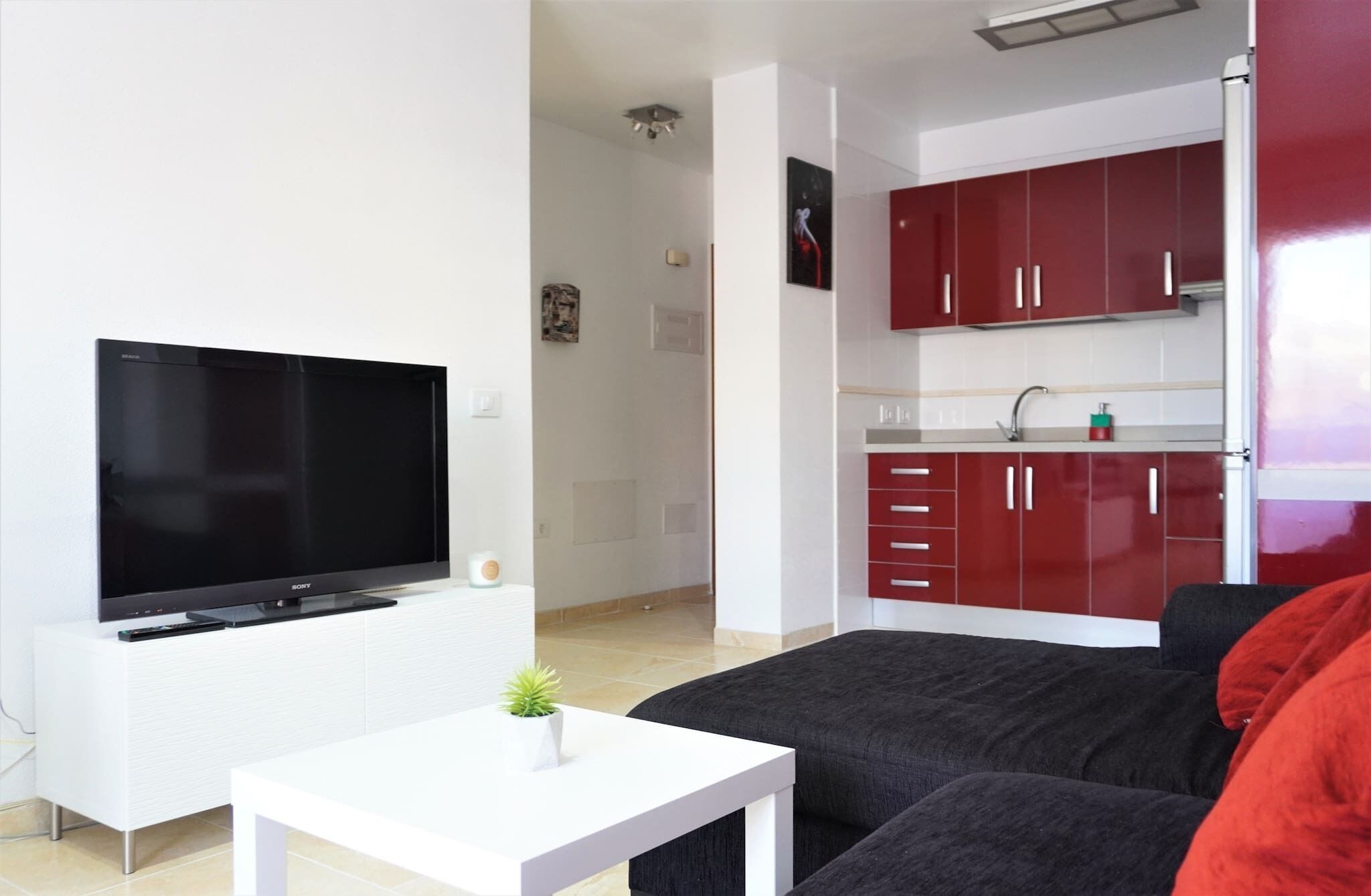 En moderne stue med et fladskærms-tv, et hvidt sofabord med en plante, og en mørk sofa.