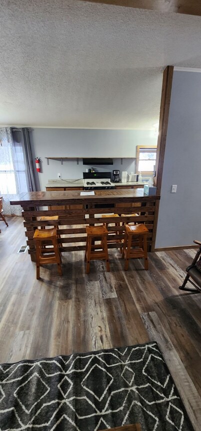 Newly remodeled home that is perfect for outdoor loving groups!