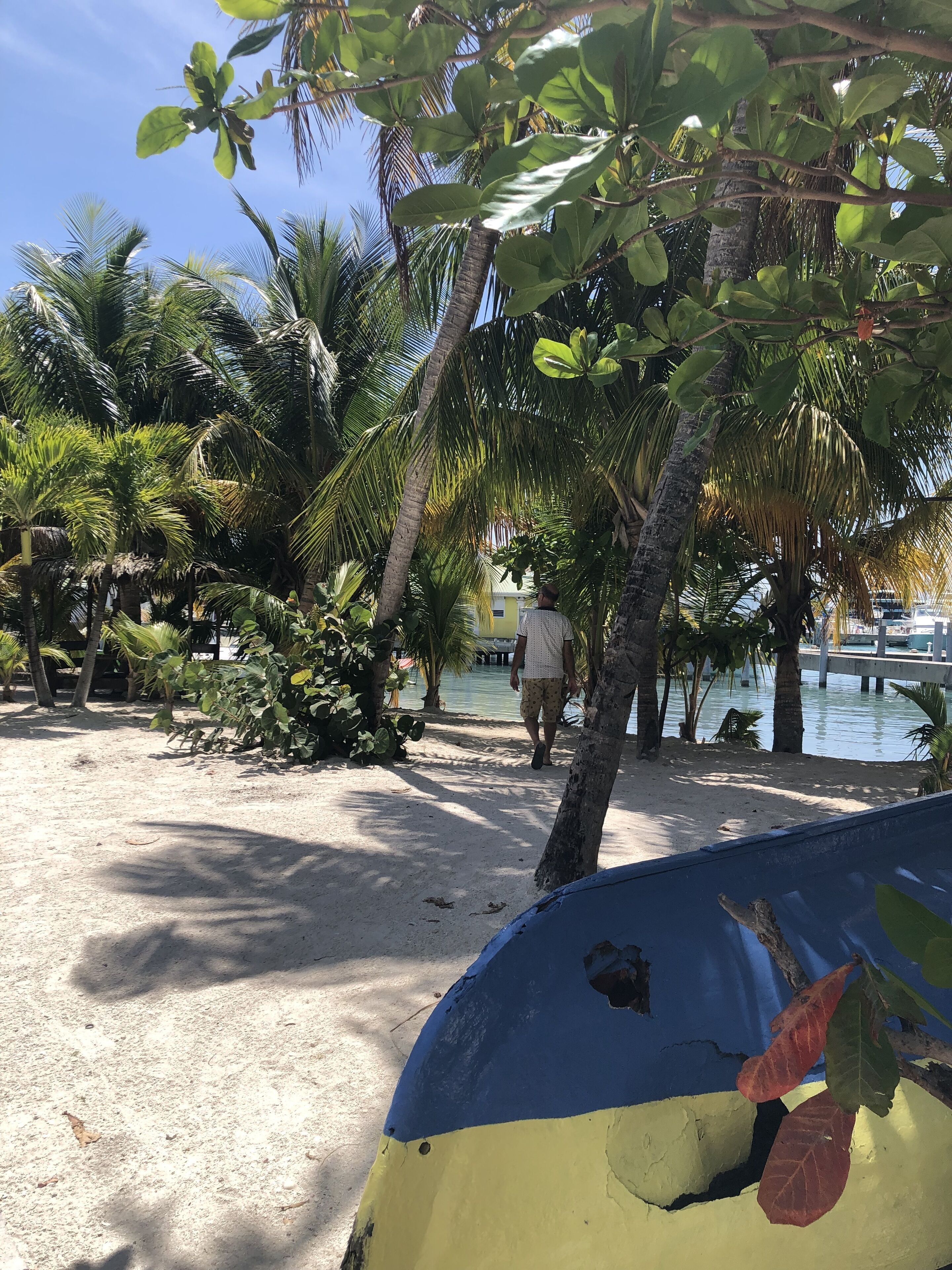 Una playa con palmeras y una persona caminando.