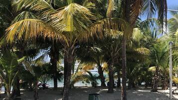 Apartment | Property grounds