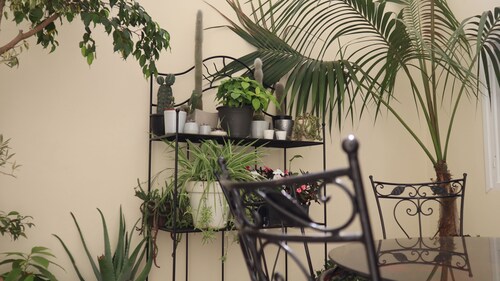 El Yakouti Comfort House